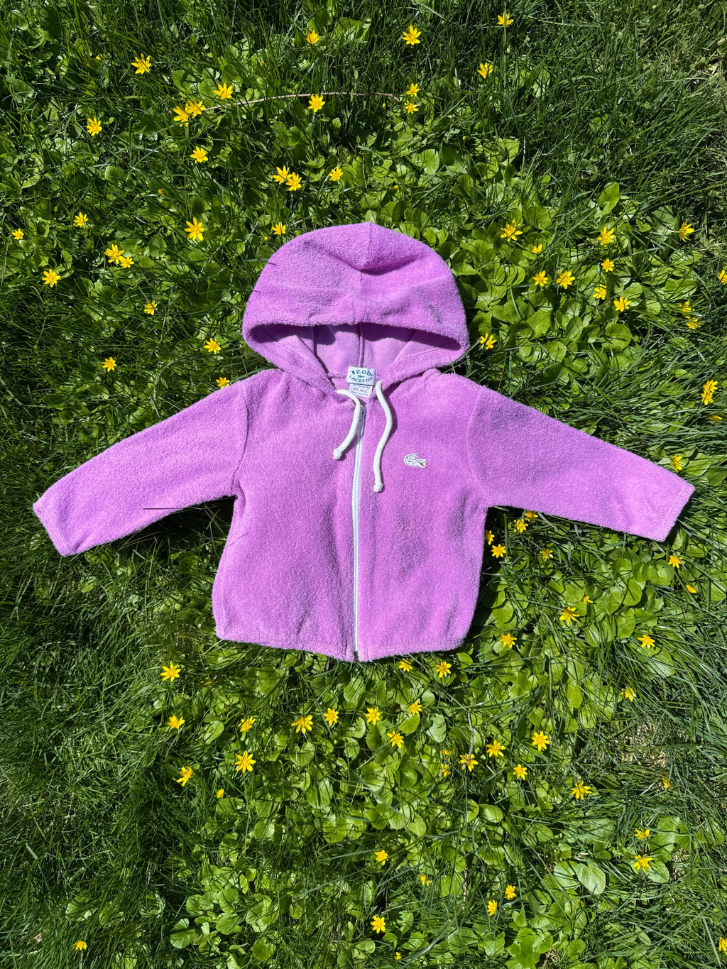 lacoste purple terry zip hoodie