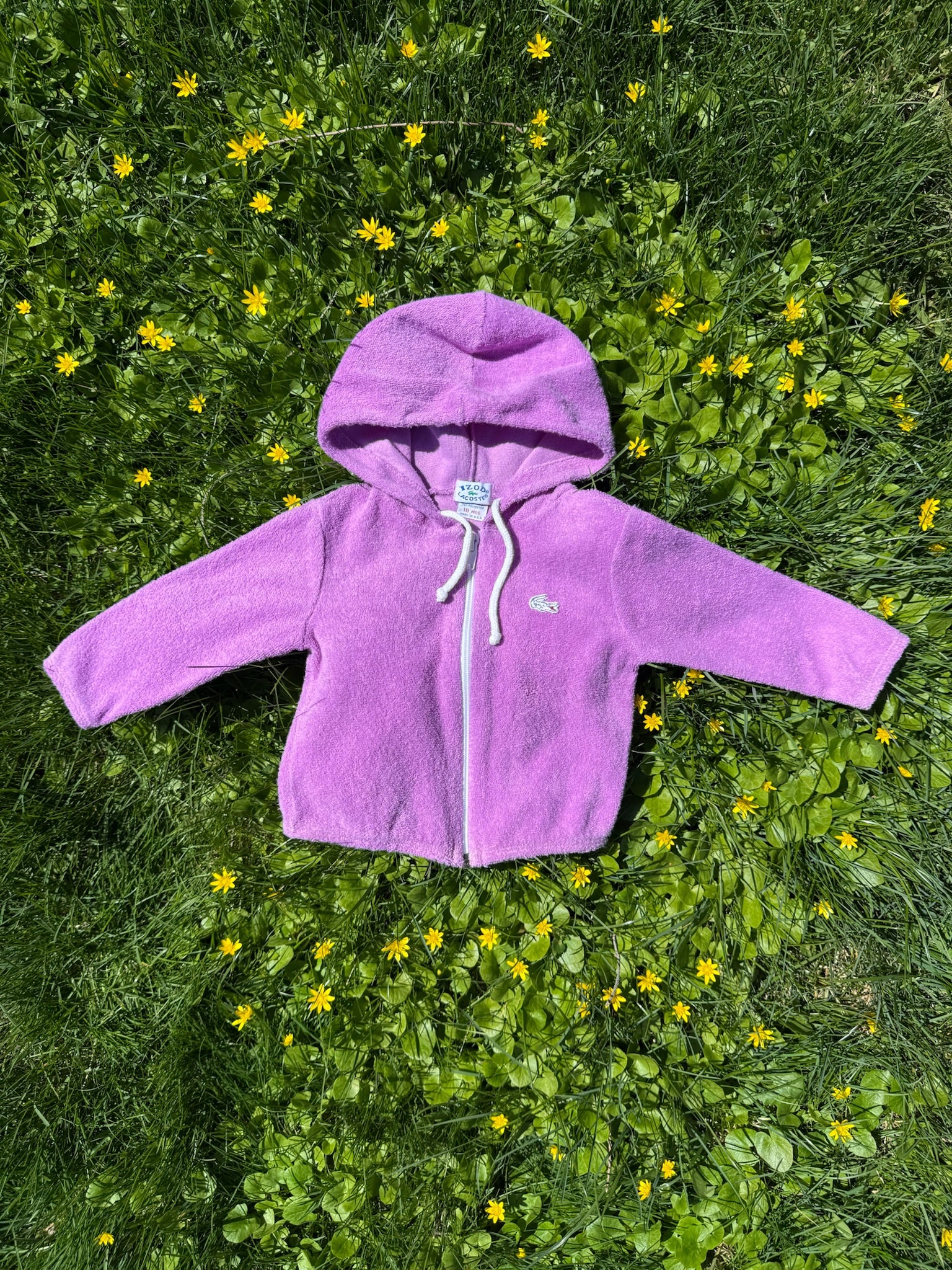 lacoste purple terry zip hoodie
