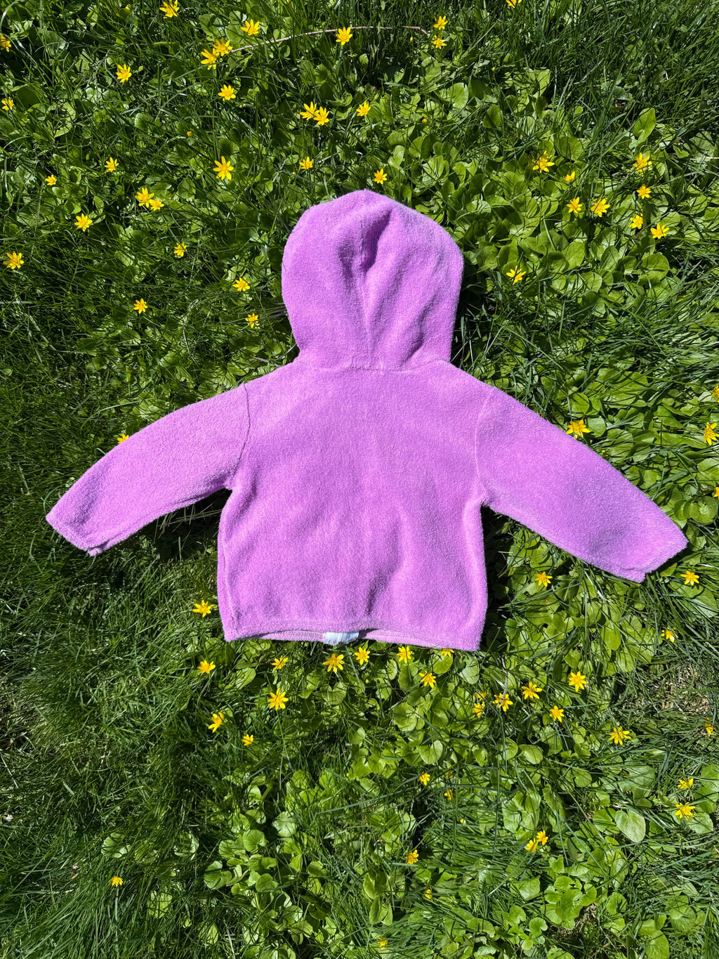 lacoste purple terry zip hoodie
