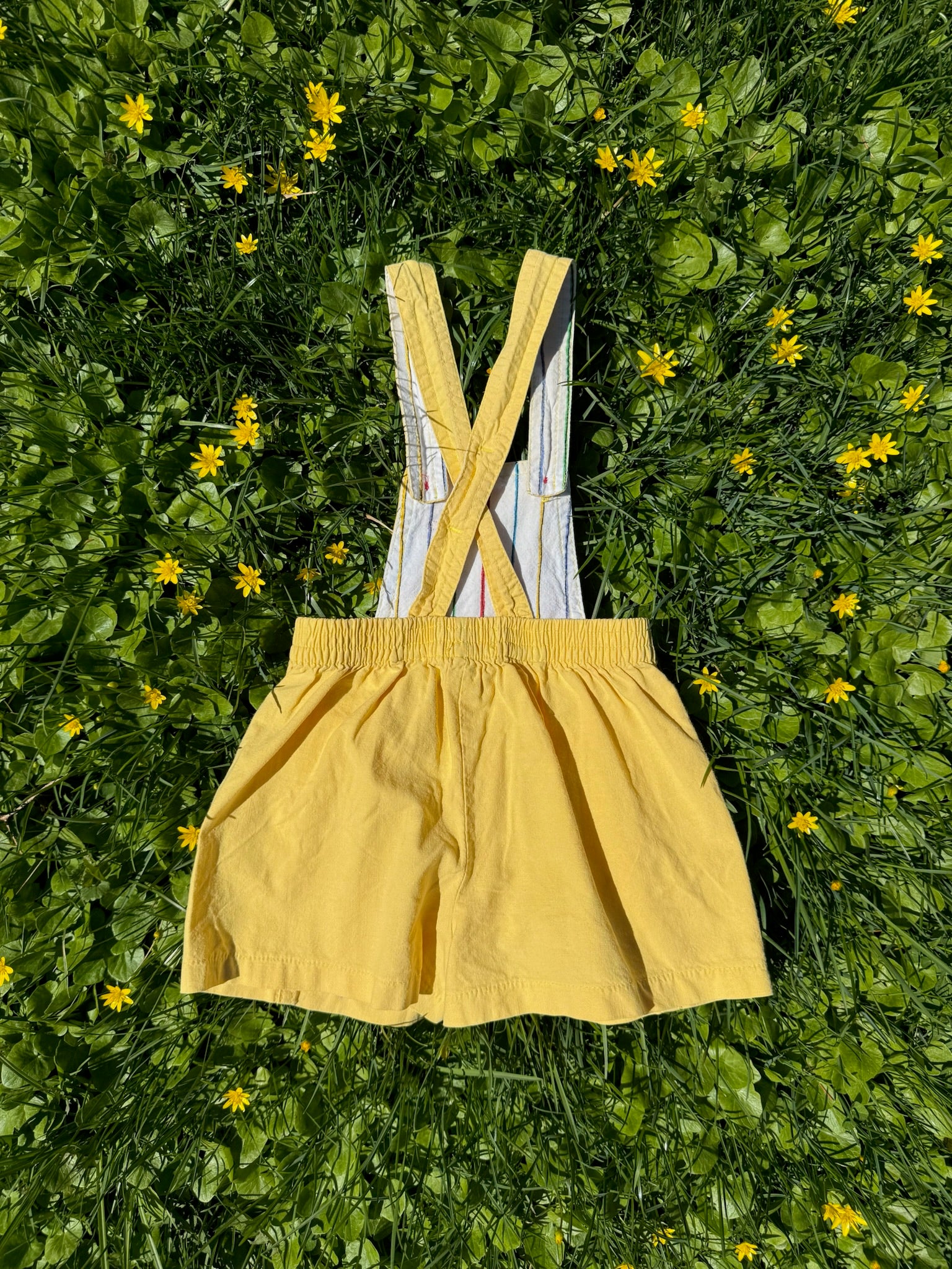 lacoste yellow shorteralls