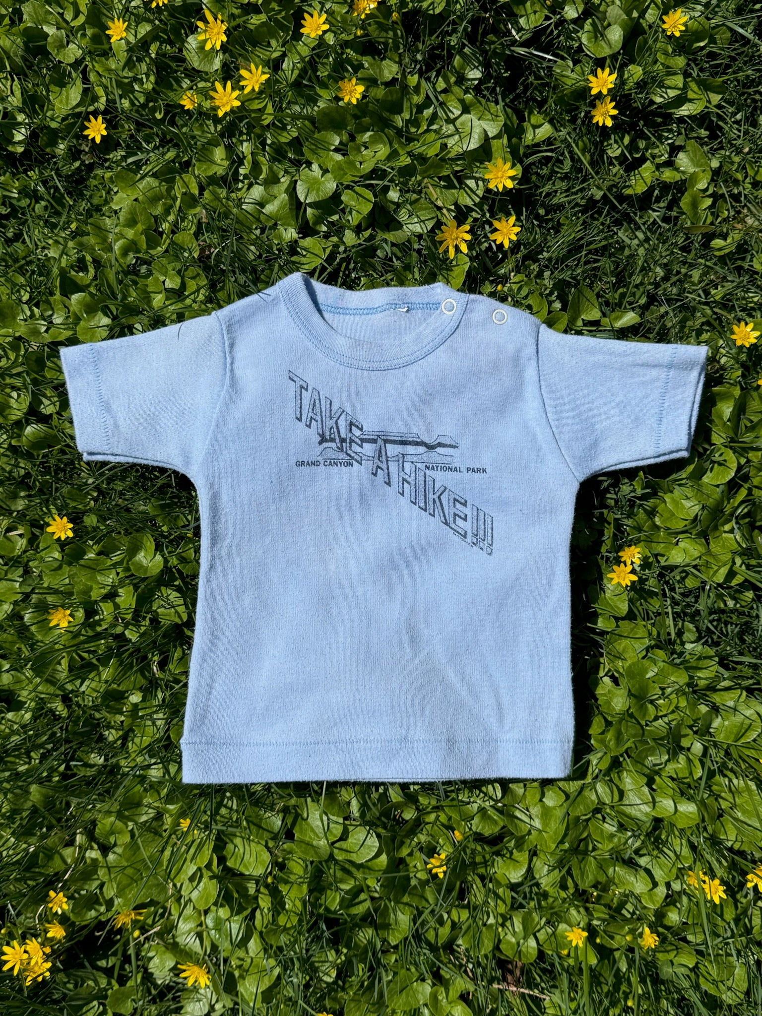 take a hike tee