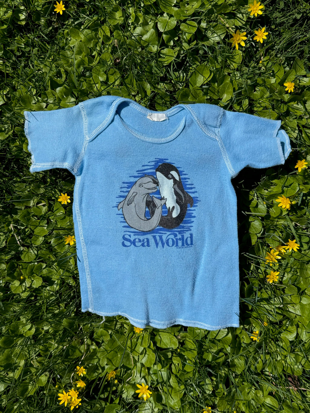 seaworld lap shoulder tee