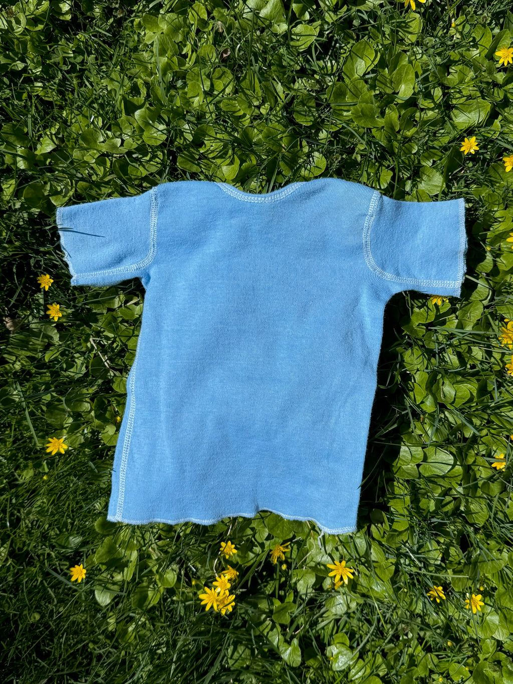 seaworld lap shoulder tee