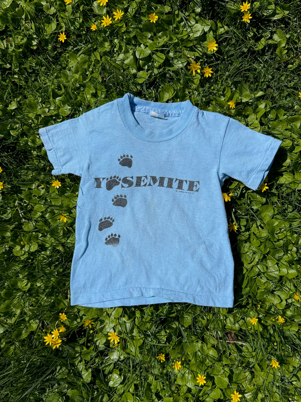 yosemite paw print tee
