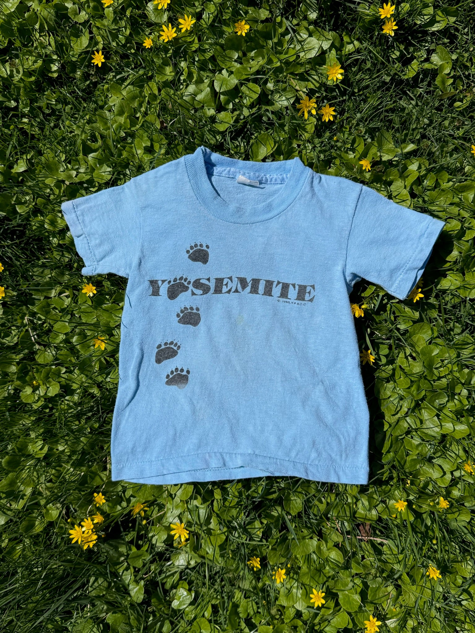 yosemite paw print tee
