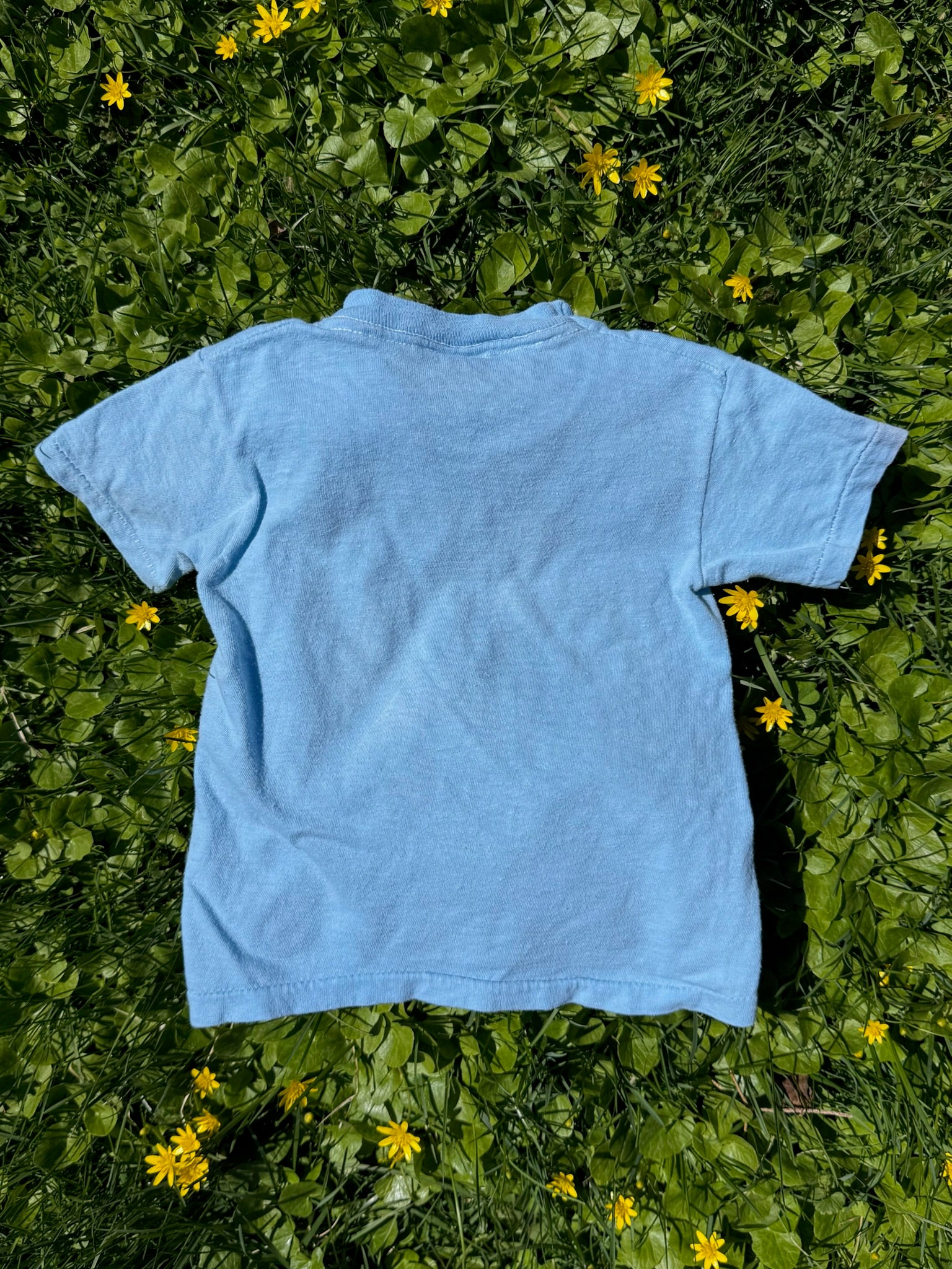 yosemite paw print tee