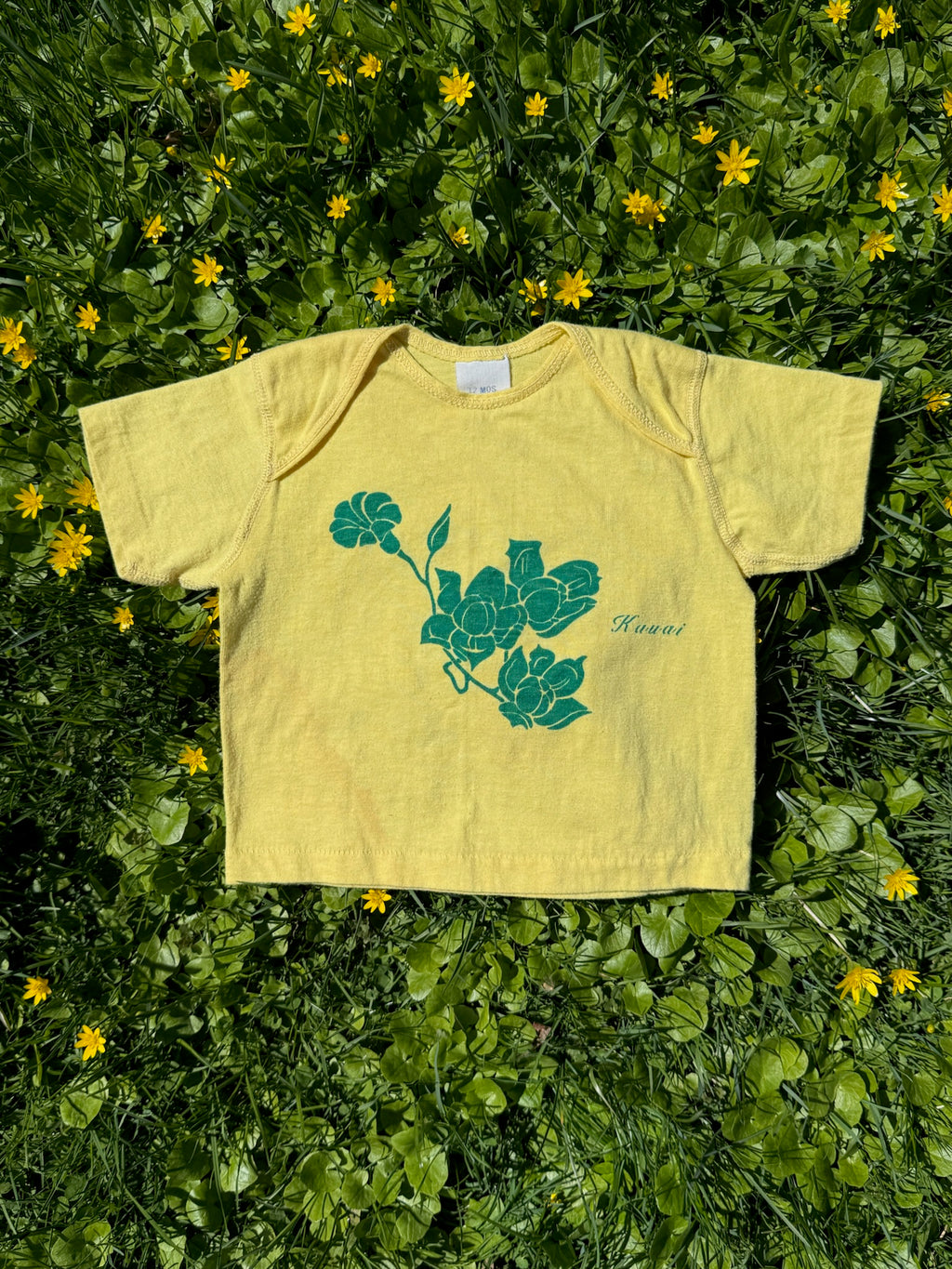 kauai souvenir tee