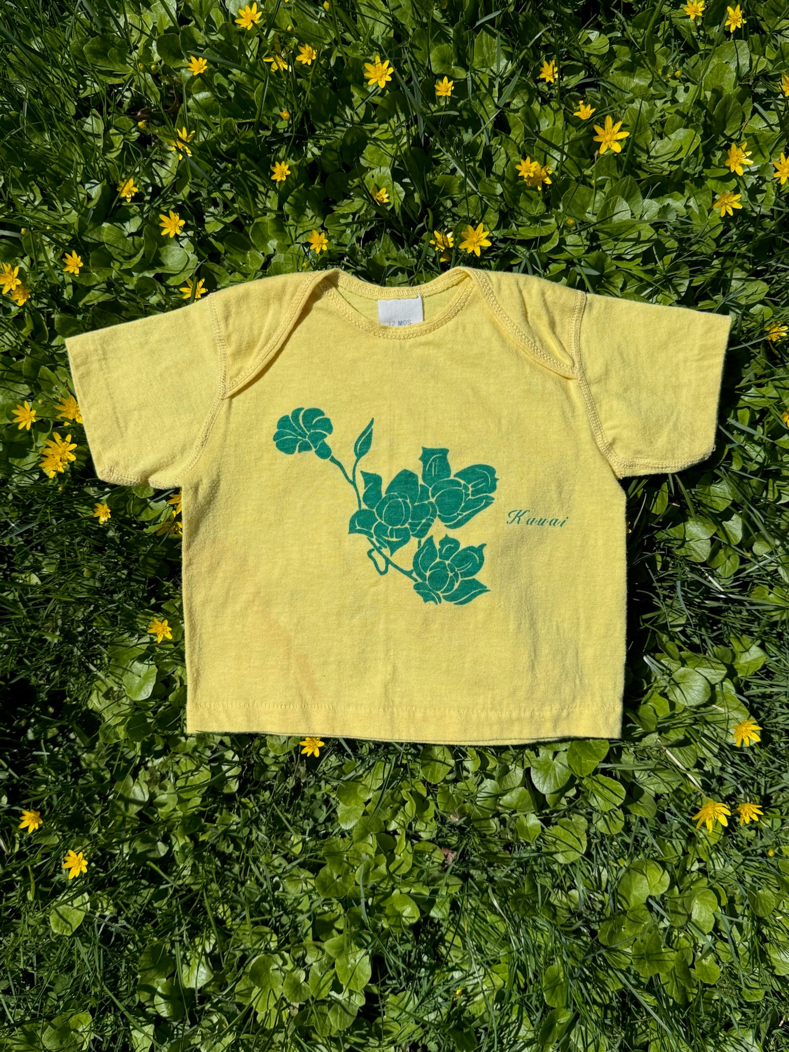 kauai souvenir tee