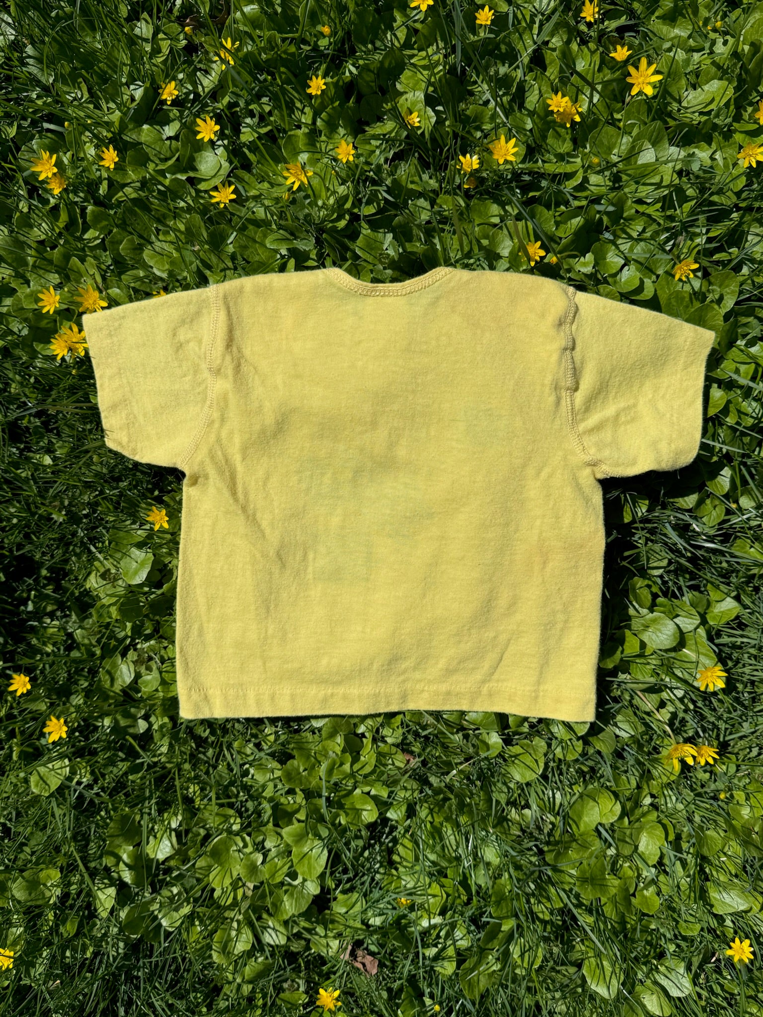 kauai souvenir tee