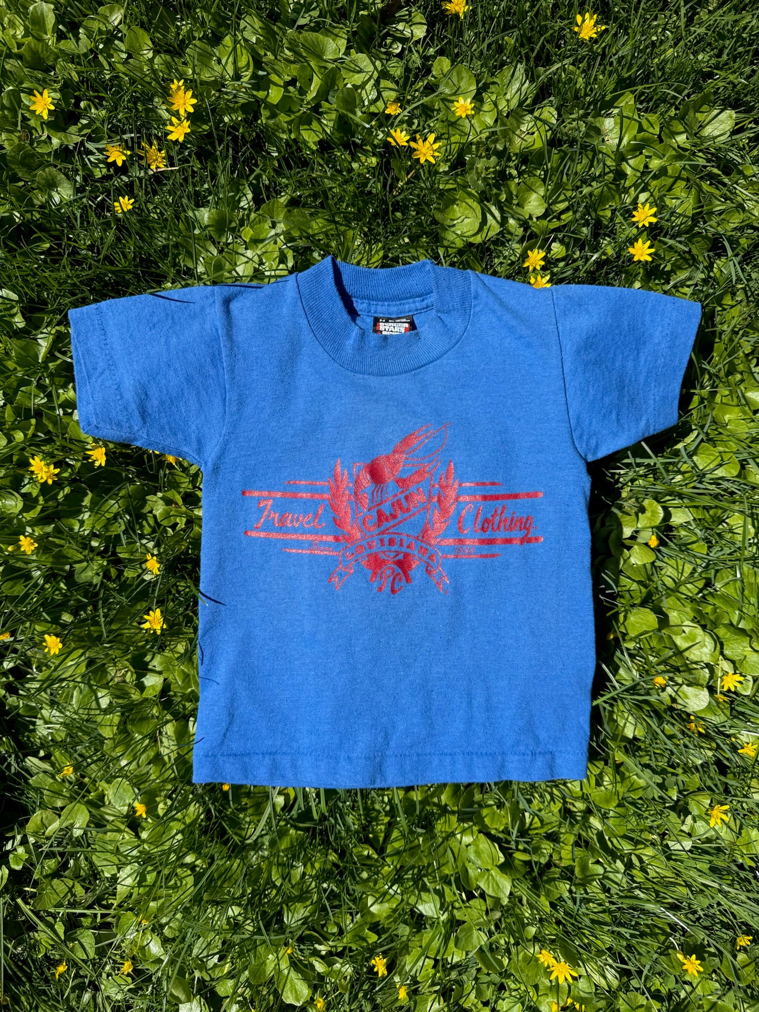 louisiana souvenir tee