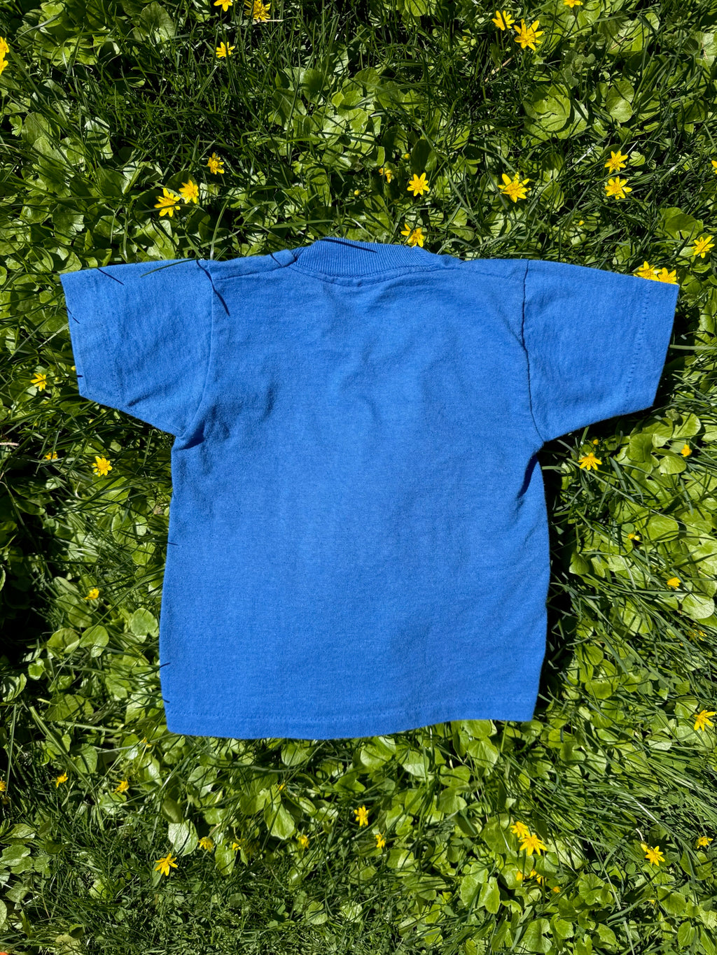 louisiana souvenir tee