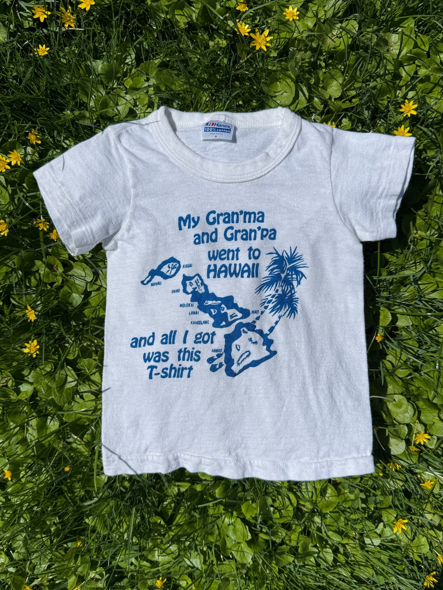 hawaii souvenir tee