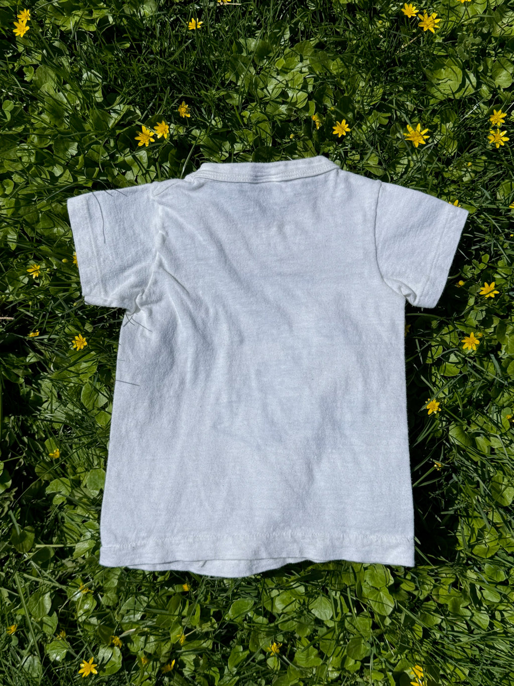 hawaii souvenir tee