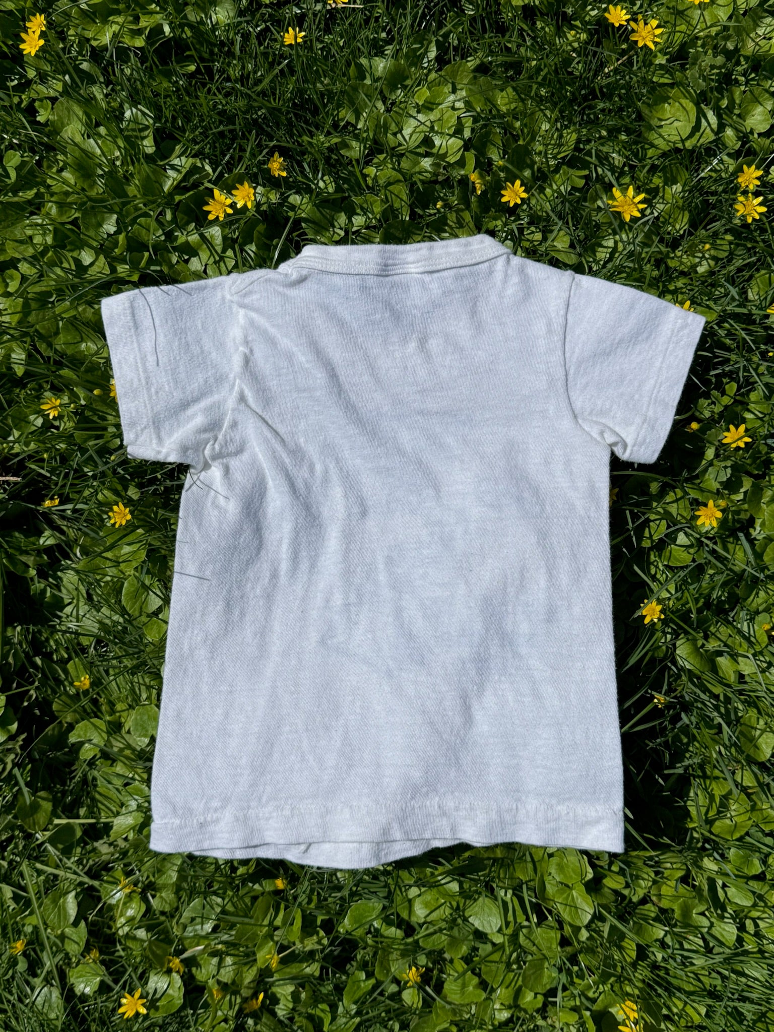 hawaii souvenir tee